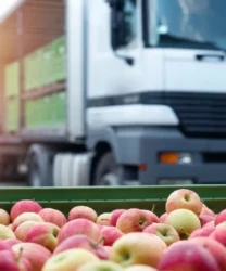 Reaching Diverse Audiences Through Strategic Food Distribution Channels