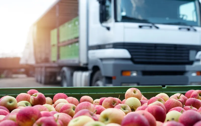 Reaching Diverse Audiences Through Strategic Food Distribution Channels