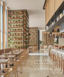 Top Food Display Trends for Hotels and Restaurants in UAE